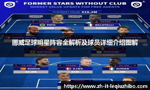 挪威足球明星阵容全解析及球员详细介绍图解